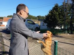 Algueirão Mem Martins cria pelouro dedicado ao bem-estar animal