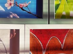 Exposição “Sonhar e Criar” na Casa da Marioneta em Agualva