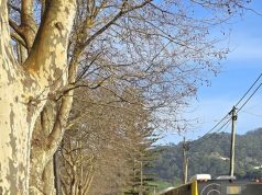 Acidente condiciona circulação na estrada Sintra–Colares