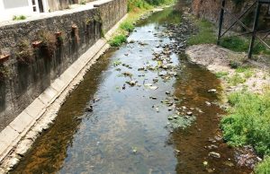Sintra reforça trabalhos de restauro ecológico na Ribeira de Colares