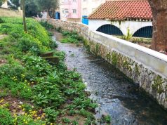 Margens da linha de água de ribeira em Mem Martins vão se requalificadas