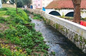 Margens da linha de água de ribeira em Mem Martins vão se requalificadas