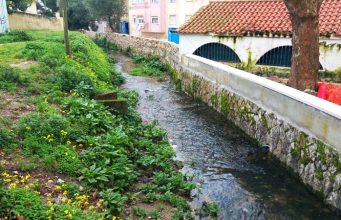 Preservação das linhas de água é prioridade em Sintra