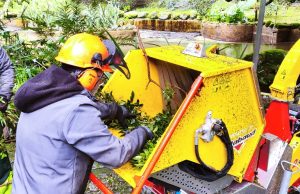 Parques de Sintra transforma madeira caída em estilha para regenerar o solo
