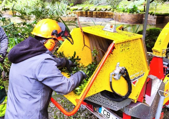 Parques-de-Sintra-transforma-madeira-caida-em-estilha-para-regenerar-o-solo-em-Monserrate-02