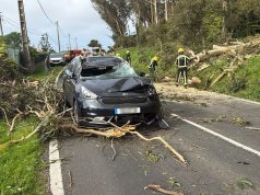 Queda de árvore atinge autocarro e carro ligeiro no troço Azoia-Ataleia