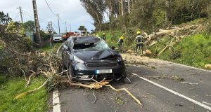 Queda de árvore atinge autocarro e carro ligeiro no troço Azoia-Ataleia