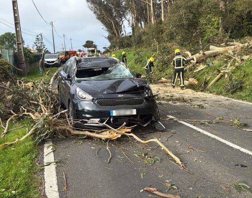 Queda de árvore atinge autocarro e carro ligeiro no troço Azoia-Ataleia
