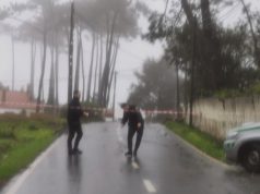 Perigo de quedas de árvores encerra estradas em São João das Lampas