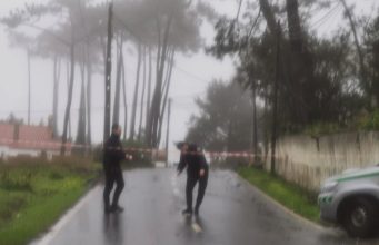 Perigo de quedas de árvores encerra estradas em São João das Lampas