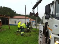 Junta Freguesia de Sintra reage aos estragos da Depressão Kristin