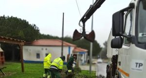 Junta Freguesia de Sintra reage aos estragos da Depressão Kristin