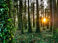 Recuperação da Serra em debate após semanas de intempéries