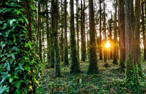 Recuperação da Serra em debate após semanas de intempéries