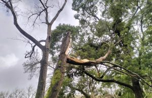 Quinta da Ribafria encerrada ao público por motivos de segurança