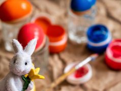 Atividades culturais e educativas gratuitas para a comunidade escolar