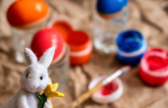 Atividades culturais e educativas gratuitas para a comunidade escolar