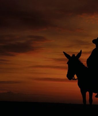 Concerto para toda a família no Centro Cultural Olga Cadaval