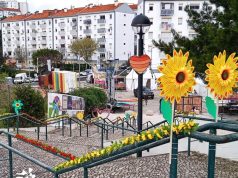 Mira Sintra recebe Feira da Primavera