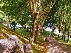 Obras de requalificação do Parque Canino de Agualva