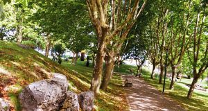 Obras de requalificação do Parque Canino de Agualva