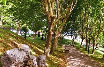 Obras de requalificação do Parque Canino de Agualva