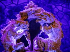 “Regaleira à Noite” promove visitas guiadas