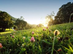Monserrate recebe celebração exclusiva do Dia Internacional da Mulher