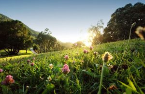 Monserrate recebe celebração exclusiva do Dia Internacional da Mulher