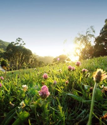 Monserrate recebe celebração exclusiva do Dia Internacional da Mulher
