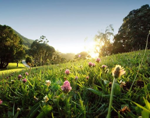 Monserrate recebe celebração exclusiva do Dia Internacional da Mulher