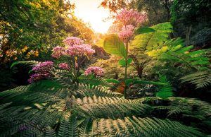 Sintra e Queluz celebram jardins históricos com experiências para o público