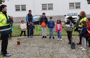 Crianças e jovens participam em plantação de árvores no Complexo Militar de Sintra
