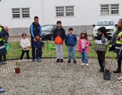 Crianças e jovens participam em plantação de árvores no Complexo Militar de Sintra