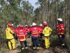 ENB lança curso online gratuito sobre prevenção e resposta a incêndios rurais