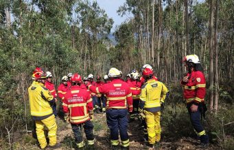 ENB lança curso online gratuito sobre prevenção e resposta a incêndios rurais