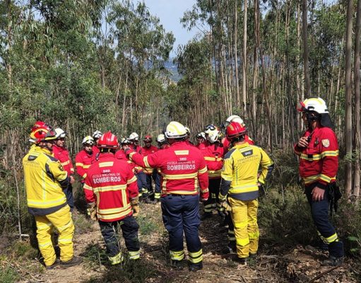 ENB lança curso online gratuito sobre prevenção e resposta a incêndios rurais