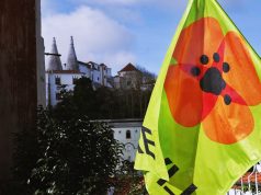 Livre promove debate sobre estacionamento pago em Sintra