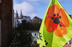 Livre promove debate sobre estacionamento pago em Sintra