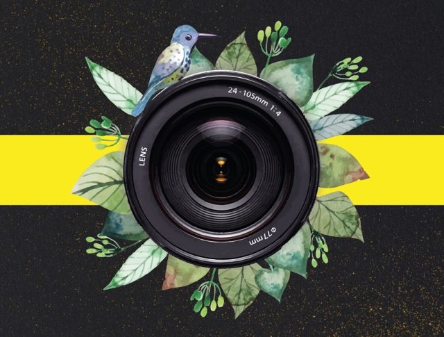 massama e monte abraão