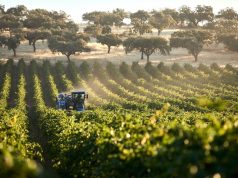 Mercadona alcança 1.500 milhões em compras a fornecedores nacionais