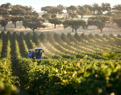 Mercadona alcança 1.500 milhões em compras a fornecedores nacionais