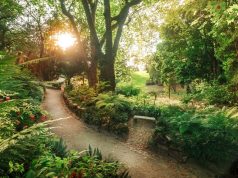 Parques de Sintra junta natureza e “mindfulness” em novas sessões mensais