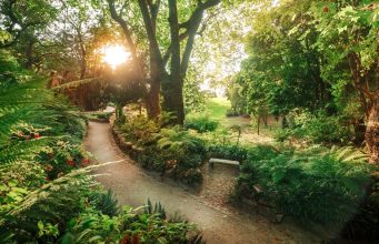 Parques de Sintra junta natureza e “mindfulness” em novas sessões mensais