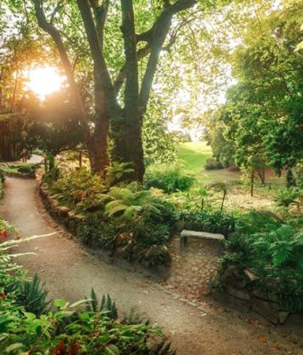 Parques de Sintra junta natureza e “mindfulness” em novas sessões mensais