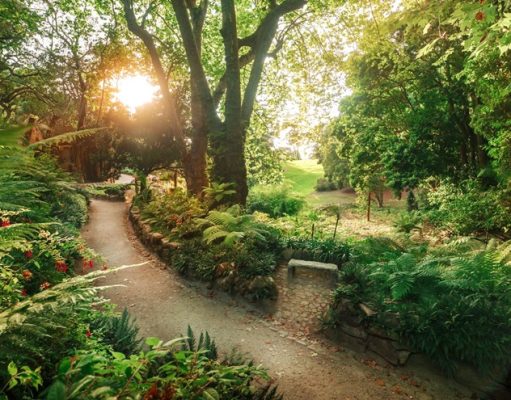Parques de Sintra junta natureza e “mindfulness” em novas sessões mensais