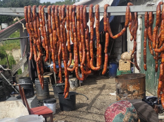 Apreensão de produtos alimentares adulterados em Agualva-Cacém