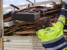 Sintra aplica 167 multas e lança campanha contra o abandono de monos na rua