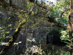 Hike Land promove caminhada entre a mata de Belas e o Monte Suímo