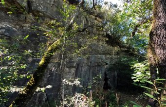 Hike Land promove caminhada entre a mata de Belas e o Monte Suímo